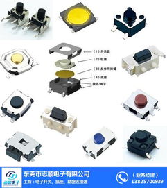 東莞市志順電子 專業(yè)供應(yīng)硅膠輕觸開關(guān)，連接珠海等地的可靠批發(fā)合作伙伴